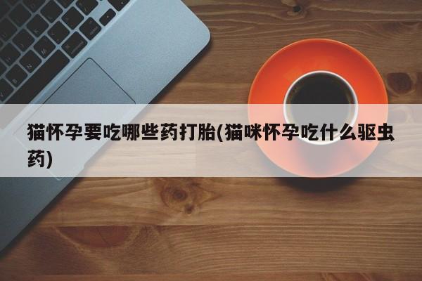 卖正品米非司酮片微信猫怀孕要吃哪些药打胎(猫咪怀孕吃什么驱虫药)