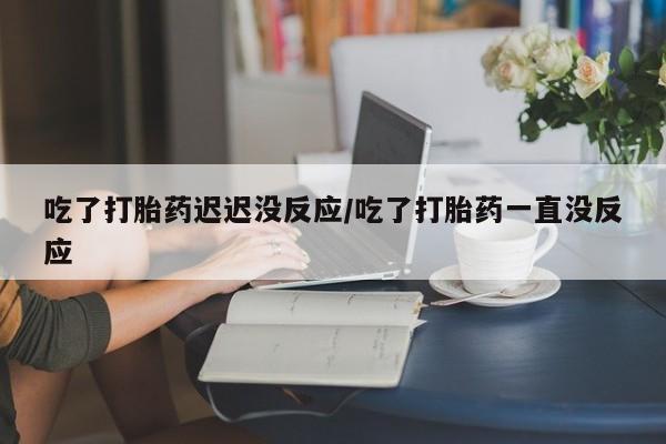 卖正品米非司酮片微信吃了打胎药迟迟没反应/吃了打胎药一直没反应