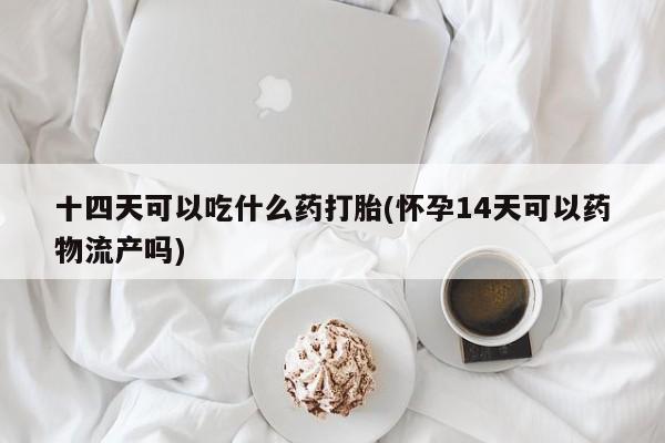 卖正品米非司酮片微信十四天可以吃什么药打胎(怀孕14天可以药物流产吗)